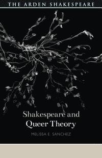 bokomslag Shakespeare and Queer Theory