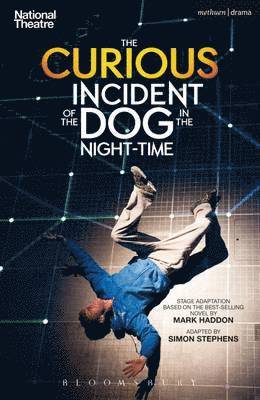 bokomslag The Curious Incident of the Dog in the Night-Time