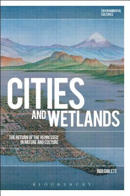 Cities and Wetlands 1