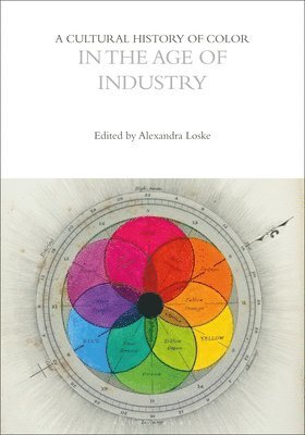 bokomslag Cultural History of Color in the Age of Industry