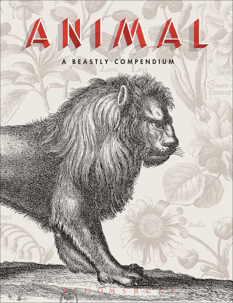 Valérie Sueur-Hermel, Rémi Mathis, Valerie Sueur-Hermel, Remi Mathis - Animal, Inbunden