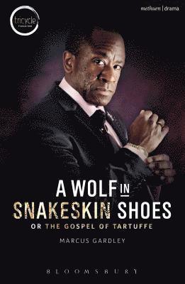 bokomslag A Wolf in Snakeskin Shoes