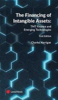 bokomslag The Financing of Intangible Assets: TMT Finance and Emerging Technologies