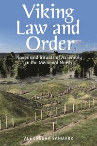 bokomslag Viking Law and Order