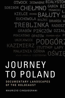 bokomslag Journey to Poland