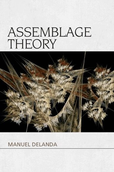 Manuel DeLanda - Assemblage Theory, Häftad