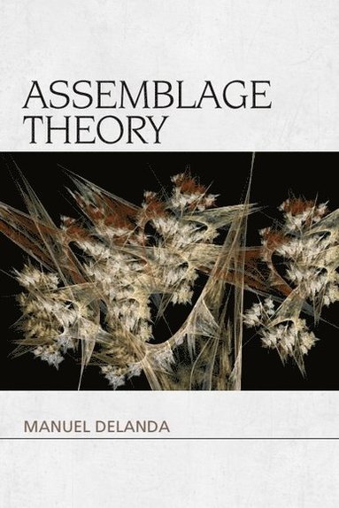 bokomslag Assemblage Theory