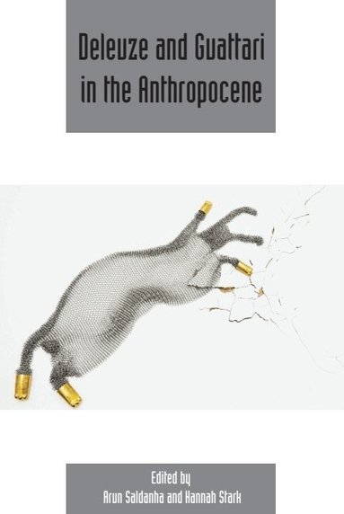 Arun Saldanha, Hannah Stark - Deleuze and Guattari in the Anthropocene, Häftad