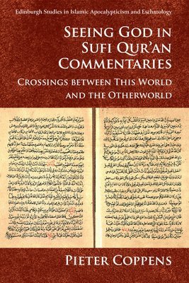 bokomslag Seeing God in Sufi Qur'an Commentaries