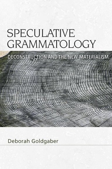 Deborah Goldgaber - Speculative Grammatology, Inbunden