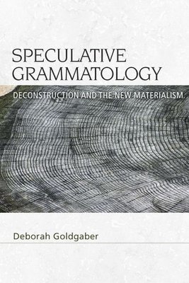bokomslag Speculative Grammatology