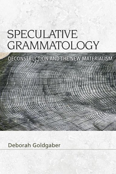 Deborah Goldgaber - Speculative Grammatology, Häftad