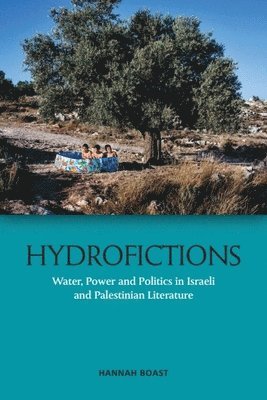 bokomslag Hydrofictions