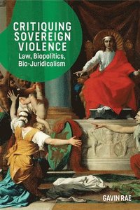 bokomslag Critiquing Sovereign Violence