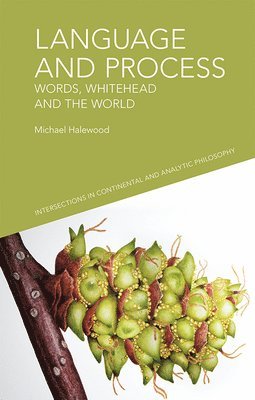 Language and Process