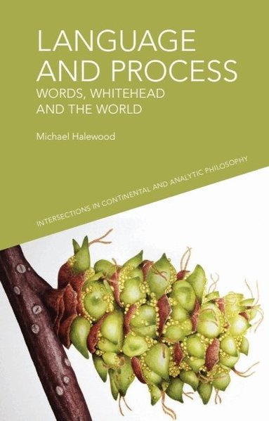 Michael Halewood - Language and Process, Häftad