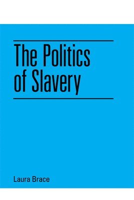 bokomslag Politics of Slavery
