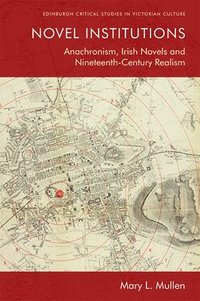 bokomslag Novel Institutions