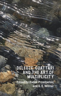 S.E Wilmer, Radek Przedpelski, S. E. Wilmer, S. E Wilmer - Deleuze, Guattari and the Art of Multiplicity, Inbunden