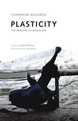 Plasticity 1