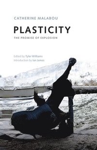 bokomslag Plasticity