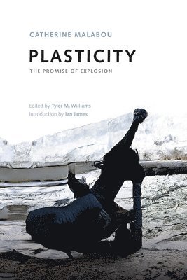 Plasticity 1