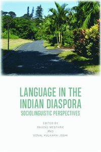 bokomslag Language in the Indian Diaspora
