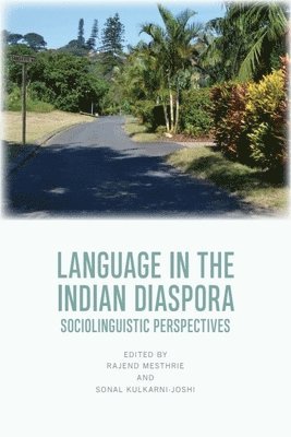 bokomslag Language in the Indian Diaspora