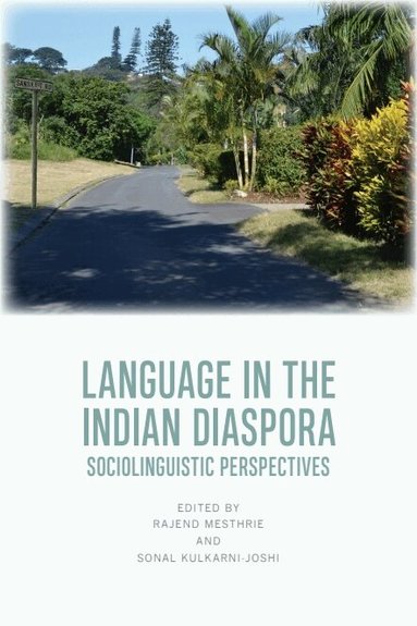 Rajend Mesthrie, Sonal Kulkarni-Joshi - Language in the Indian Diaspora, Häftad