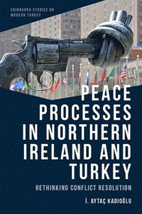 bokomslag Peace Processes in Northern Ireland and Turkey