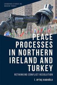bokomslag Peace Processes in Northern Ireland and Turkey