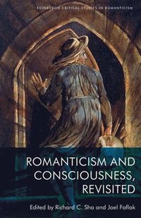 bokomslag Romanticism and Consciousness, Revisited