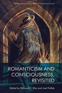 bokomslag Romanticism and Consciousness, Revisited