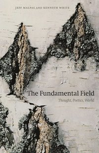 bokomslag The Fundamental Field
