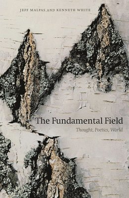 The Fundamental Field 1