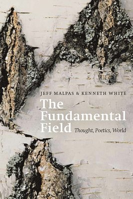 The Fundamental Field 1