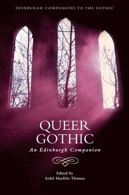 bokomslag Queer Gothic