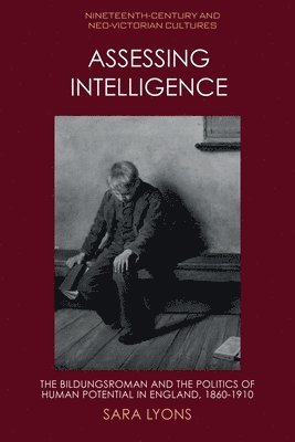 Assessing Intelligence