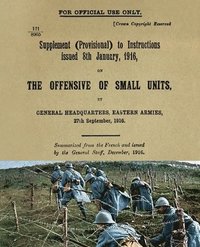 bokomslag The Offensive of Small Units