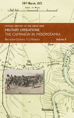 The Campaign in Mesopotamia 1