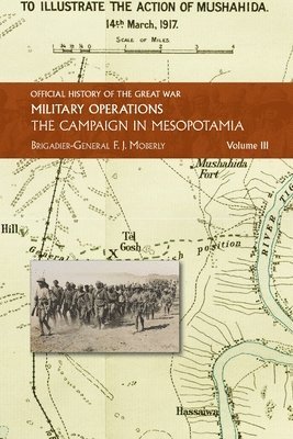 bokomslag The Campaign in Mesopotamia