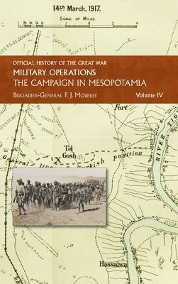 bokomslag The Campaign in Mesopotamia