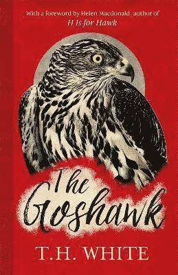 T. H. White - Goshawk, Inbunden