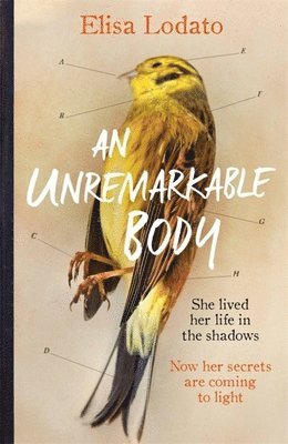 An Unremarkable Body: A Stunning Literary Debut with a Twist