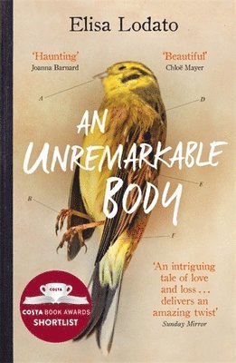An Unremarkable Body 1