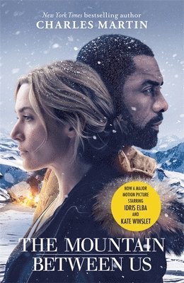 Mountain Between Us 1