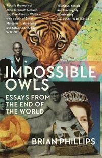bokomslag Impossible Owls