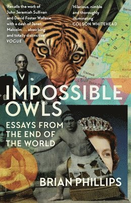 bokomslag Impossible Owls