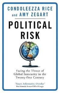 bokomslag Political Risk: Facing the Threat of Global Insecurity in the Twenty-First Century