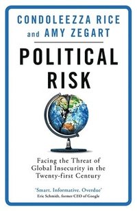 bokomslag Political Risk: Facing the Threat of Global Insecurity in the Twenty-First Century